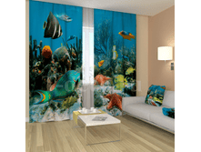 «��������� ����».png