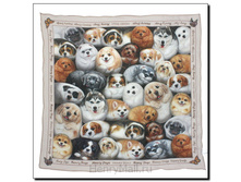 ������ ������ � ��������� <<������� �����>> 60*60 �� � ���������� �������� - 654 �����