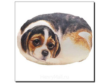 ������� M ����� ��� - 564 �����