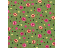 ������� ��� ���������, 720���