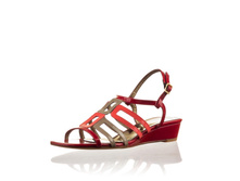 25 ���� (����� 1250 ���)