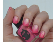 DL ������� 3.JPG