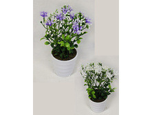 ��18/188(001) - 165 - ������ 25%