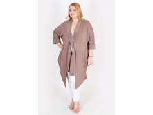 ������� V25.1