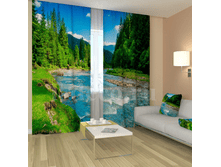 «������ ����».png