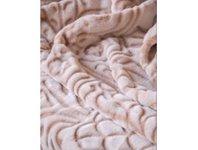 ���.���� � �����������