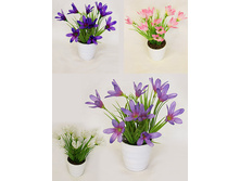 ��20/191 - 198 - ������ 25%