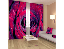 «���� � ������� ����».png