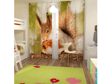 ��������� «�������».png