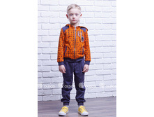 ������ 850�