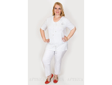 ������ V363.8