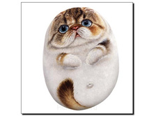 ��� ���, ��� - 1075 ������