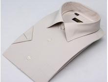 RAF1702s==499���.