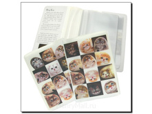 ������� ��� �������� ��������������� <<����� � �������>> - 261 �����