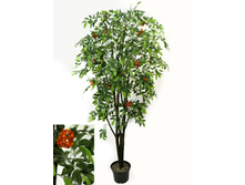 200/��/180 - 8469