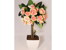 ���22/02 - 839