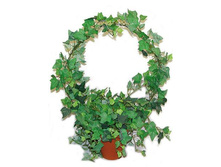 �� 55/131 - 435 - ������ 25%