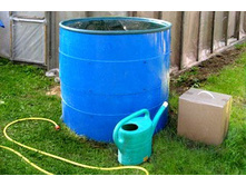 ����� ��������� �����������