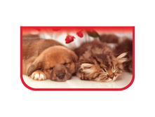 ����� 1 ��������� 190�115 ��ԣ��� � �����, ��������� 42,68.jpg