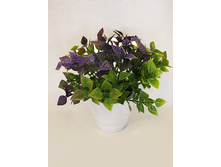 ��15/154(011) - 198