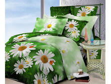 ������ ����-H62115.jpg