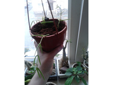 2015-04-09 13.44.12.jpg