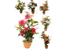 �70/02 - 1154 - ������ 25%