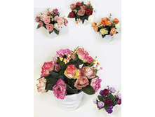 ��16/02 - 255 - ������ 25%