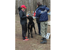 � �������.jpg