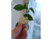 2015-04-15 18.38.07.jpg