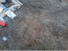 20150418_172508.jpg