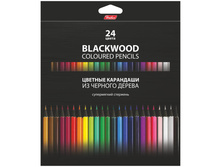 ��������� BLACK DIAMOND 24��., ������ ������, �������., ������. ��., ���������� 261,50.jpg