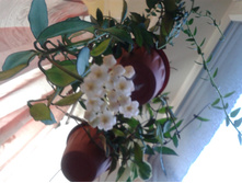 2015-04-15 18.37.12.jpg