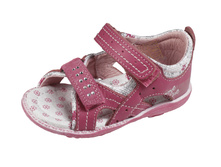 sc-2221  590 ���.