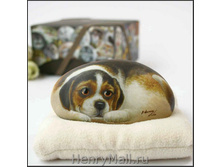 ����� ���, ��� - 1137 ������