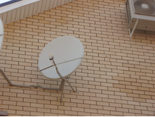 ��� 4 �� ������ � �����