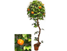 190/��/24� - 4465