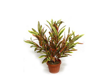 �40/68-1 - 476 - ������ 25%