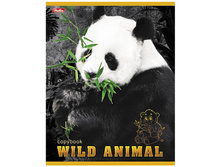 ������� 24�. ����� ��� �������� 9,28.jpg