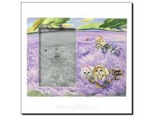 ��������� � ������� Henry Cats <<������� � �����>> - 417 ������