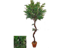 190/��/19� - 6950