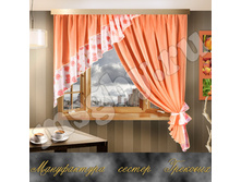 ������ ���� 591 ���