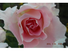 29 ���� 2014 148.jpg