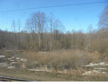 DSC04187.JPG