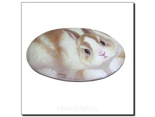 ������ ��� ����� ��������� ���� - 101 �����