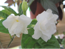 ��������������