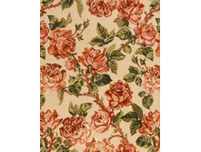 ��������� ����.jpg