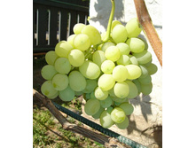 ��-�� 160 ���..jpg