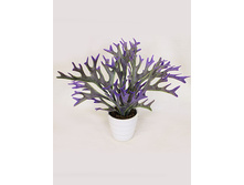 ��20/187(010) - 165