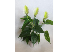 �� 45/53 - 488 - ������ 25%